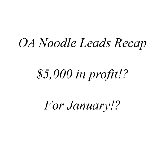 OA Noodle January Leads Recap - Blue - Exclusive - Clothing - $5,000 in profit!?